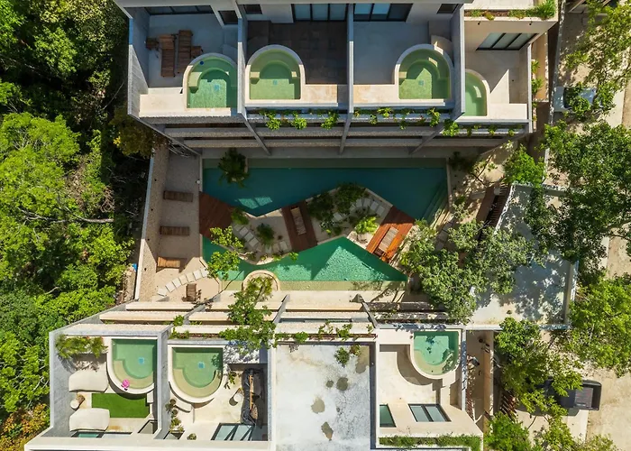 *jungle Ph W/pool, Close To Downtown & *