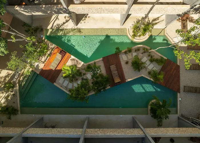 *jungle Ph W/pool, Close To Downtown & Tulum