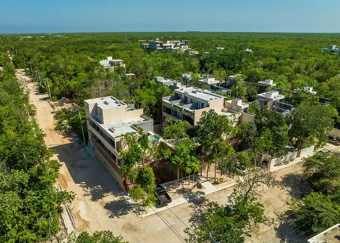 *jungle Ph W/pool, Close To Downtown & *