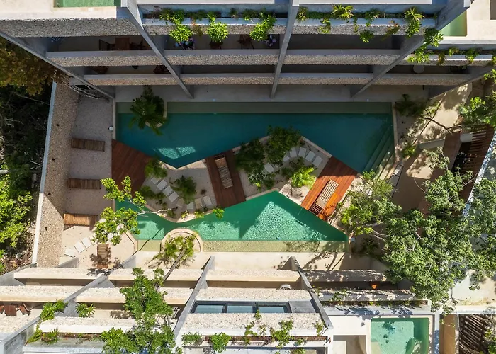 *jungle Ph W/pool, Close To Downtown & Tulum